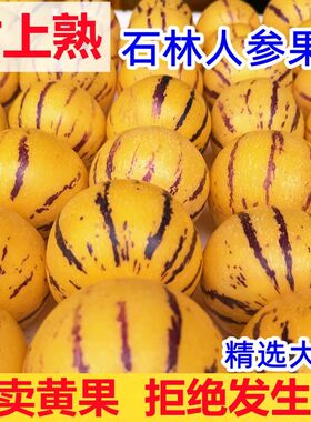 云南石林人参果5斤树上熟鲜果新鲜人参果七彩黄肉圆果人生果包邮