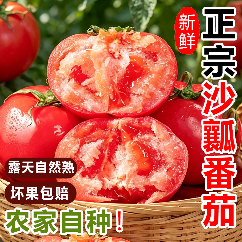 攀枝花沙瓤西红柿新鲜9斤自然熟高山露天种植农家蔬菜老品种番茄