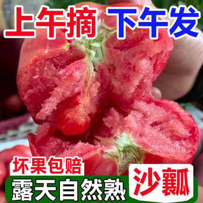 正宗新疆品种自然熟沙瓤西红柿10斤普罗旺斯现摘新鲜水果蔬菜番茄