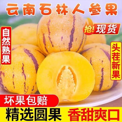 人参果新鲜水果云南石林黄心圆果树上熟七彩人叁果应当季整箱包邮