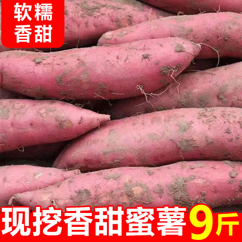 现挖糖心蜜薯9斤红薯新鲜蔬菜农家自种小香薯烤番薯沙地板栗地瓜 - 大尤精选出品