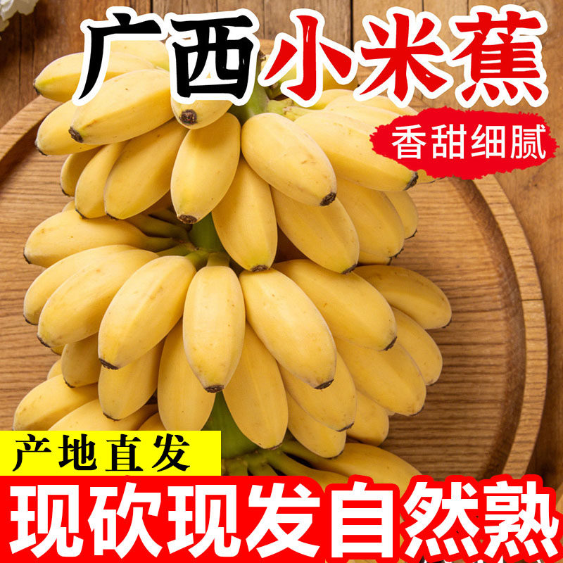 广西正宗小米蕉香蕉新鲜现摘水果整箱当季鲜苹果蕉自然熟粉蕉包邮,水产肉类/新鲜蔬果/熟食,香蕉,淘宝优惠券,粉丝福利购,淘宝优惠卷