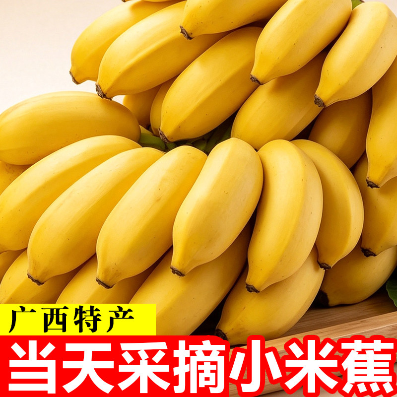 推荐正宗小米蕉5斤树上自然熟！