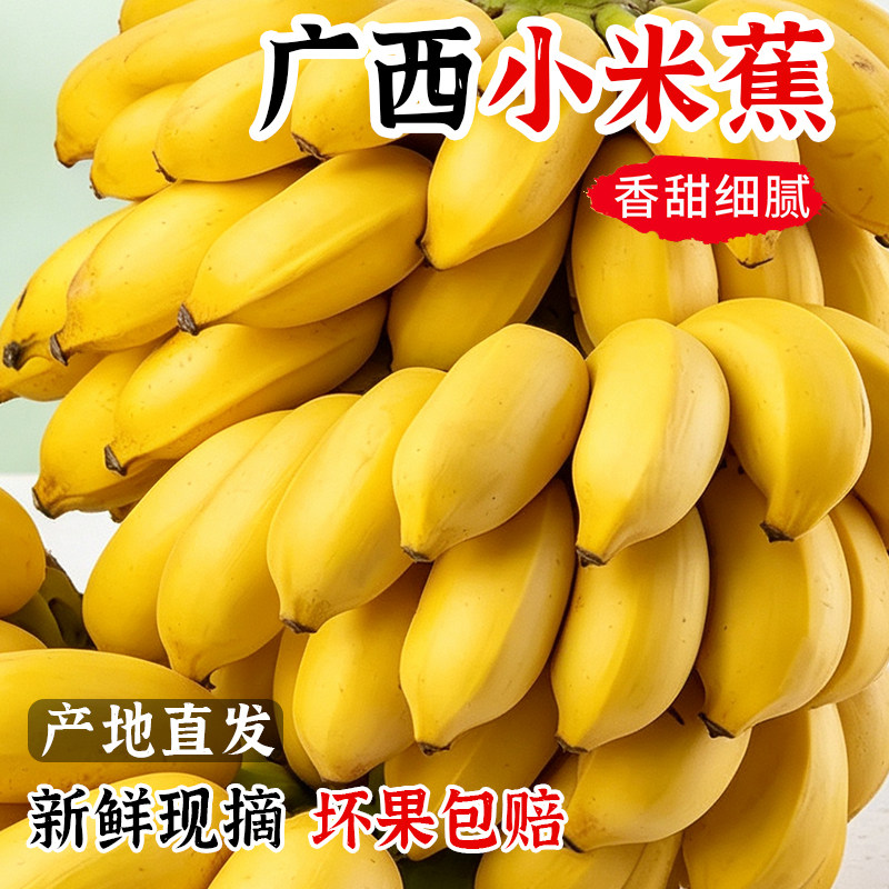 正宗广西小米蕉粉香蕉5斤整箱