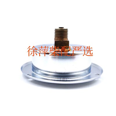 船用液压舵压力表0-25mpa船舶舵机压力表Y-60ZT轴向带边油压力表