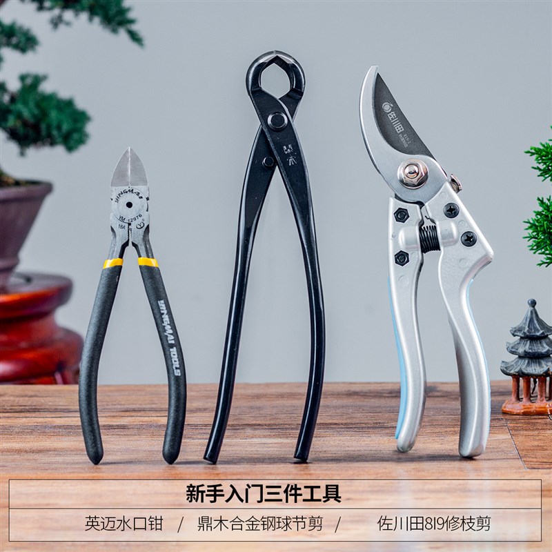 盆景造型铝丝定型蟠扎铝线园艺扎丝工具铝Q丝线制作用绑丝固定