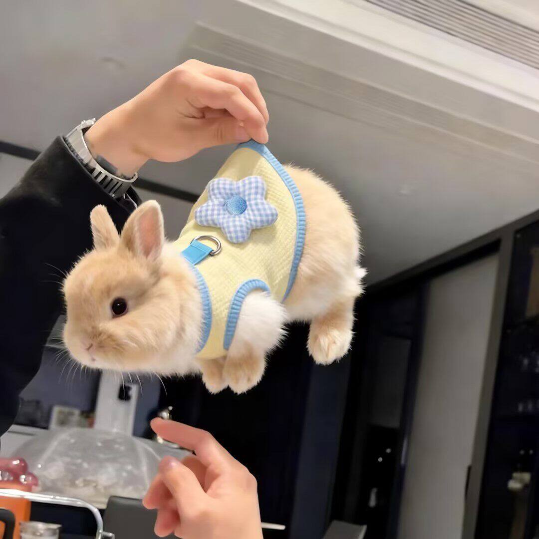 兔兔衣服夏季薄款花朵背心可牵引