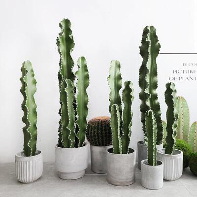 仿真仙人柱绿植盆栽室内橱窗造景装饰假植物仙人球盆景仙人掌摆件