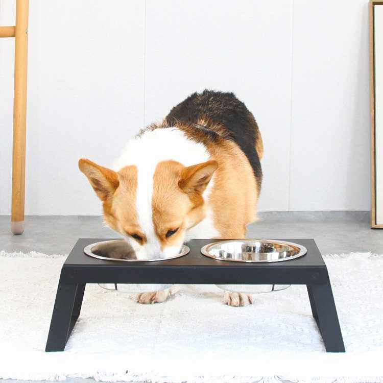 铁艺双盆不锈钢狗食架狗盆狗碗猫碗宠物双碗支架狗食盆金毛大型犬