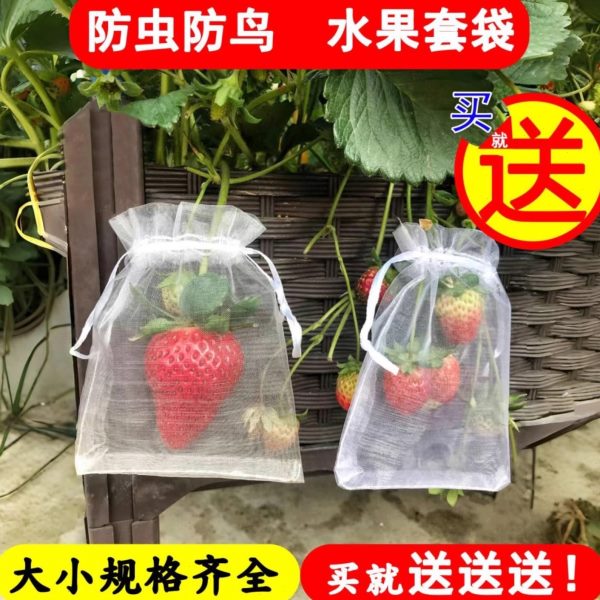 袋保护套番石榴防鸟防虫袋子梨子套专用罩桃子水果苹果网袋包果树