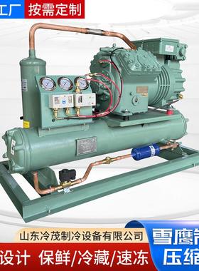 雪鹰压缩机组BR215G4-48 5BR20C4-63.5