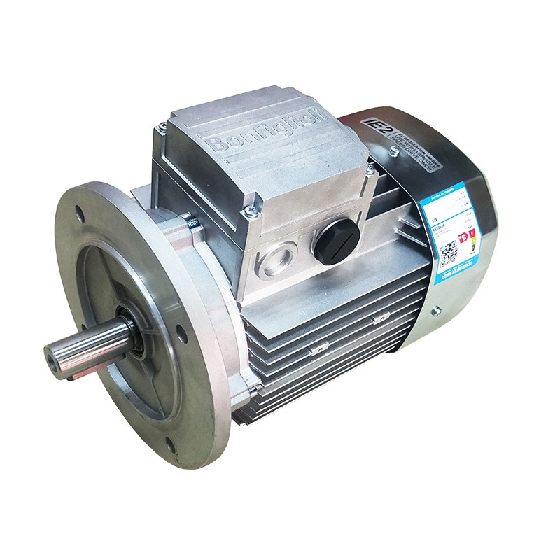 邦飞利交流感应电机BN71B4 BN80B4 BN100LA4三相异步电动机0.18KW