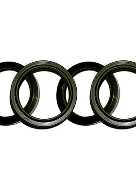 日本进口油封墨绿色耐中压USI 22*30*5 FU2467-S0 22.4*30*5