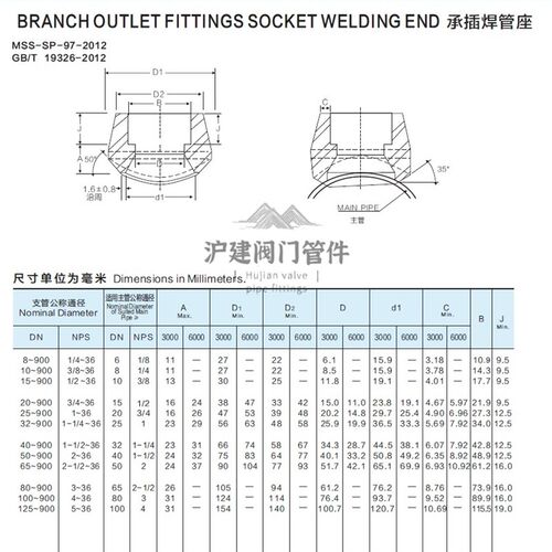不锈钢304316L承插焊支管台插焊支管座DN套焊管台3000LB锻造SP-97