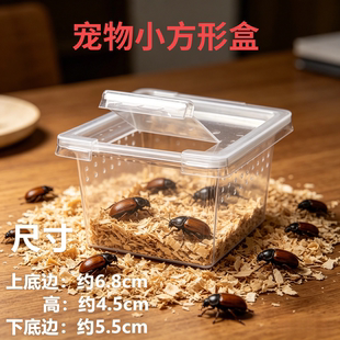 蚕宝宝专用盒昆虫饲养盒爬虫盒玉米箱乌龟缸角蛙守宫蜗牛养蚕盒子