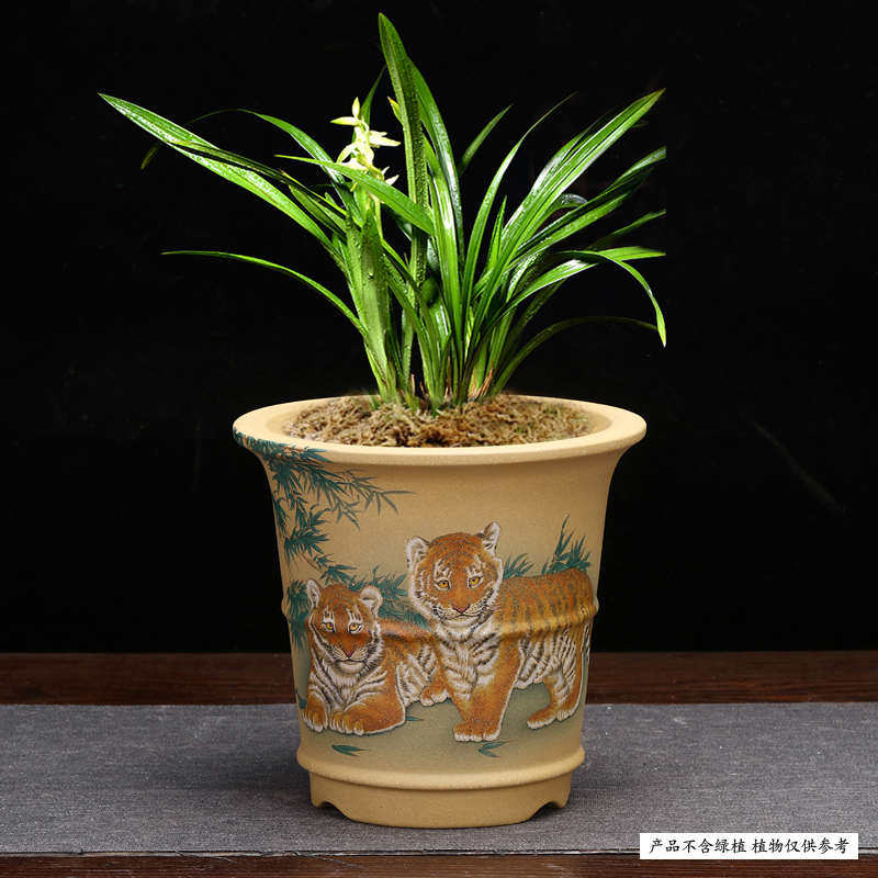 紫砂兰花盆精品贴画圆形虎皮兰君子兰客厅桌面文竹子绿植古典包邮