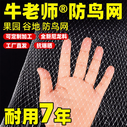 全新尼龙料防鸟网牛老师抗暴晒