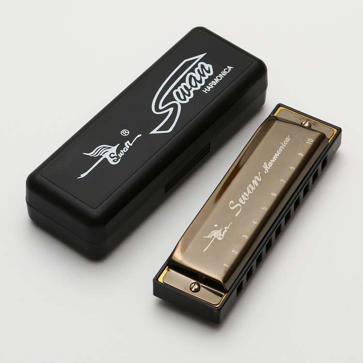 口琴10孔布鲁斯c调初学者成人蓝调十孔入门口琴乐器harmonica