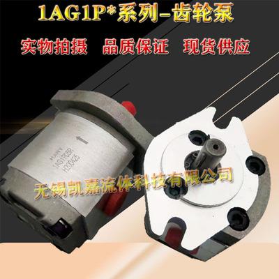 1AG1P02R/02R/03R/04R/0R5/06R/07R/08R/09R HONOR齿轮泵液压油泵