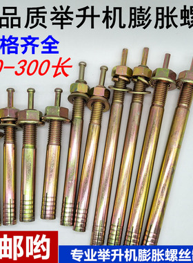 举升机专用膨胀螺丝加长国标击芯膨胀螺栓锤击敲钉固定m16m182024