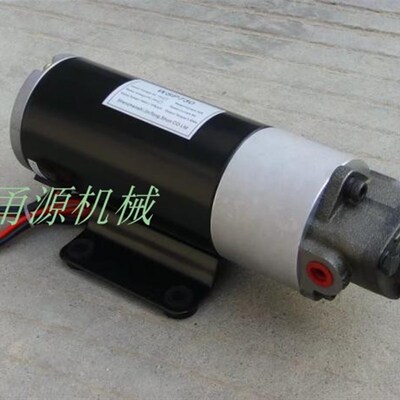 12V24V加油泵小型直流电机油泵汽车免拆清洗保养润滑泵12A-12V