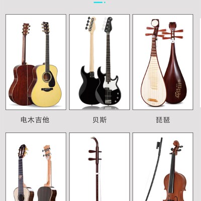 爱科莱SD300电子防潮箱 吉他与乐器专用恒湿防潮柜