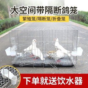 鴿子籠配對籠繁殖鴿子籠家用v養殖鴿子籠折疊加密籠運輸鴿籠可代