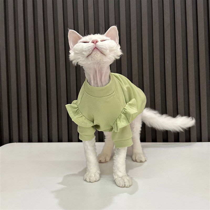 任发财绿色花边Tl恤无毛猫衣服德文衣服斯芬克斯猫夏季纯棉透气