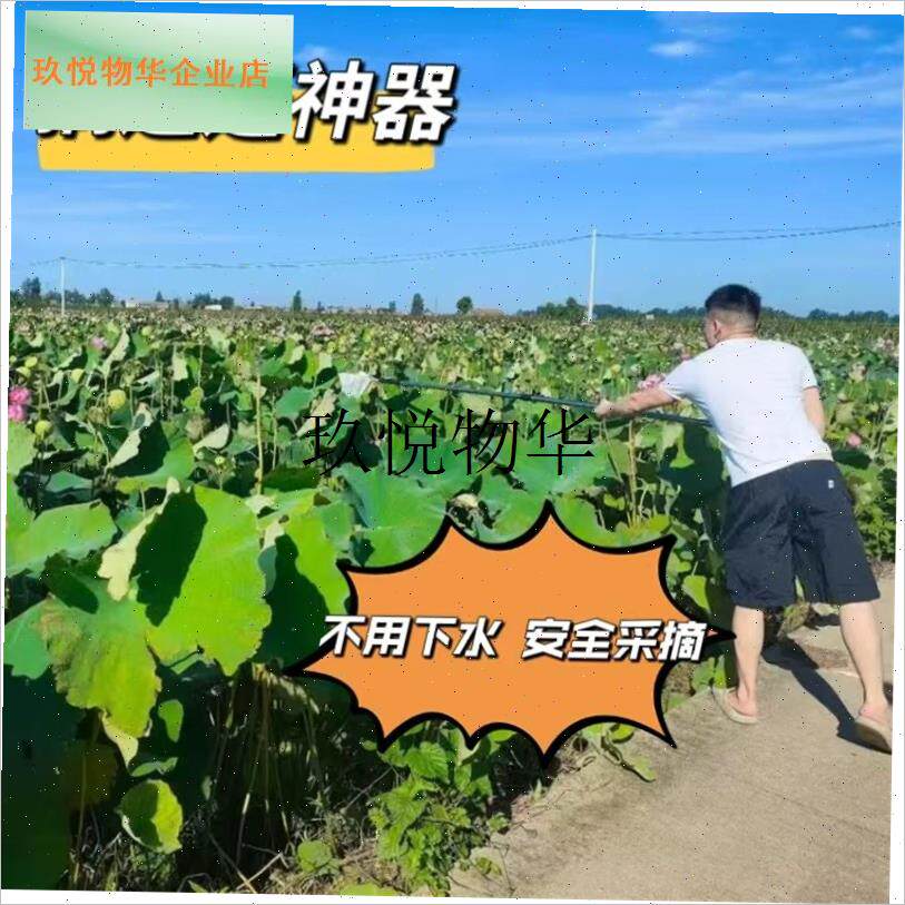 采莲蓬神器摘莲子工具勾荷花1z0米长伸缩杆高空摘果器网兜头钩果,