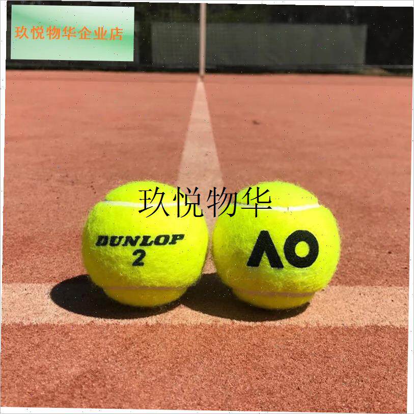 Dudnlop网球ATPTOUR胶罐筒装澳网AO比赛运动训练球3/4粒装,