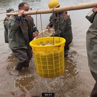 口防进水户外农m用雨衣单上衣松紧袖 袖 口渔民专用雨衣防水服防雨