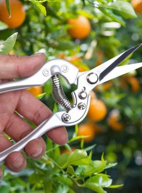 安藤 AT-8S38园林园艺水果采摘剪 稀果剪 园艺剪 剪刀 手工具