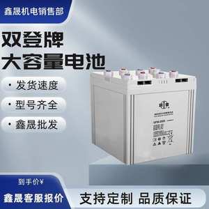 双登蓄电池GFM-2000 2V2000AH 通信基站 直流屏电源 船舶后备电瓶