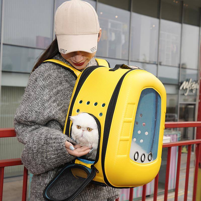 摩宠宠物双肩包手拎提透明外出猫咪狗狗中小型打针大容量便携包