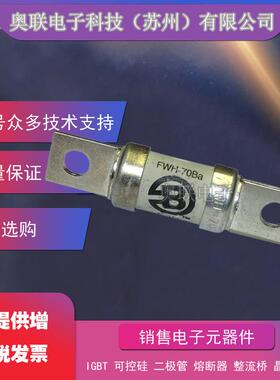 FWH-35B FWH-40B FWH-45B FWH-50B FWH-60B FWH-70B 熔断器