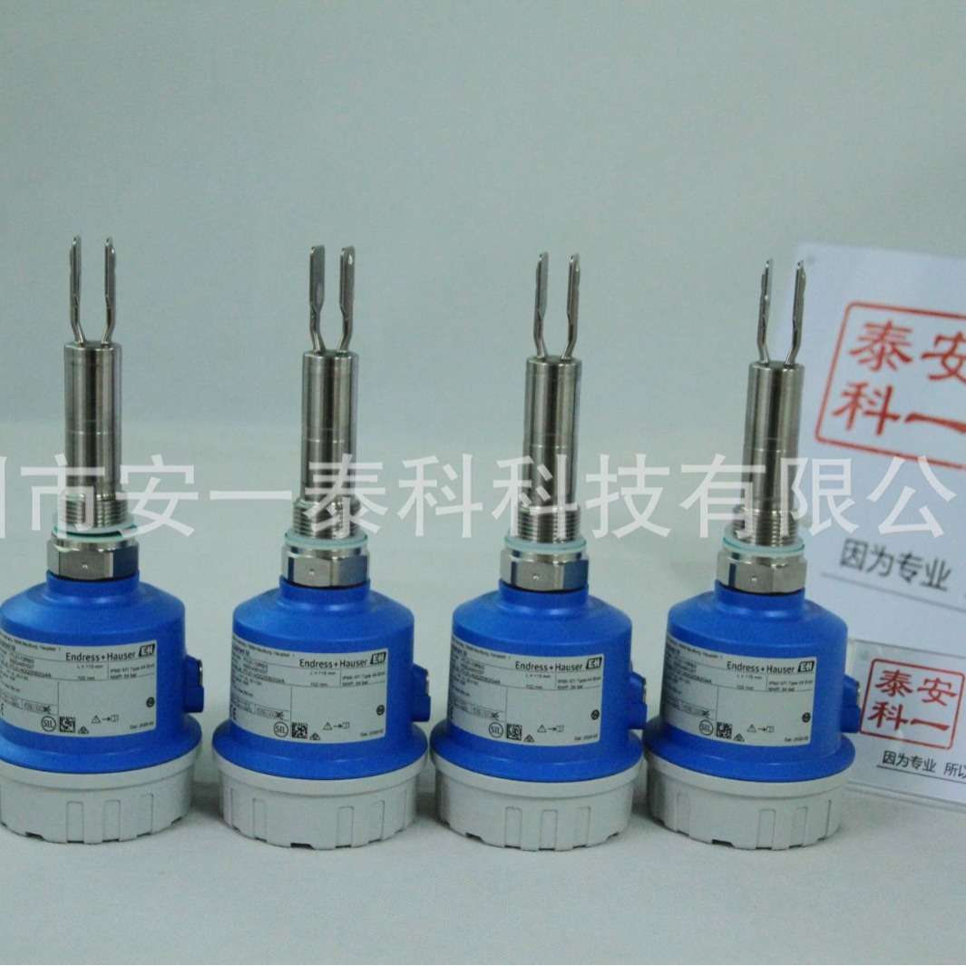 E H音叉液位计液位开关FTL51B/FTL41 替代 FTL50/FTL51恩德斯豪斯