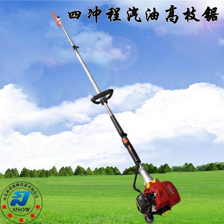 大功率高枝汽油锯 园林砍伐二冲程汽油锯 竹子果树伐树小型短锯链,鲜花速递/花卉仿真/绿植园艺,割草机/草坪机,淘宝优惠券,粉丝福利购,淘宝优惠卷