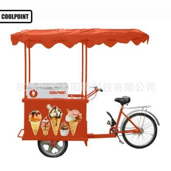 抢先加购太阳能冰淇淋冷柜带系统All in One