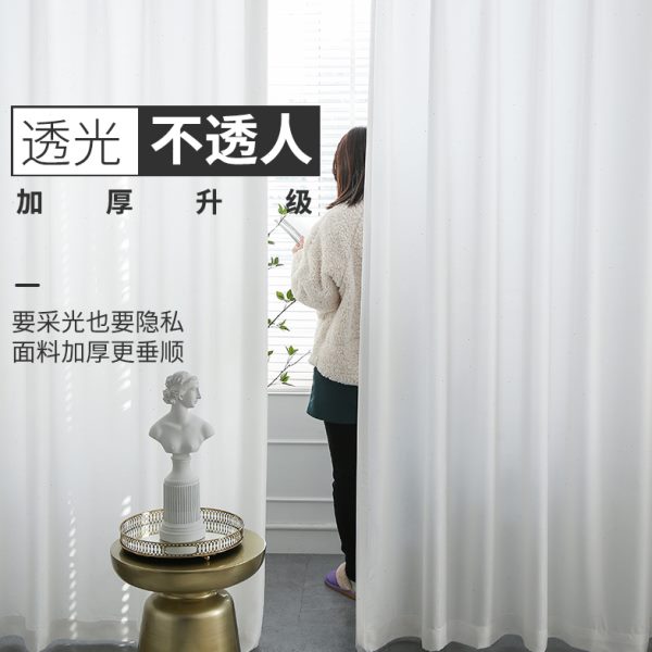白色窗纱透光不透人半透明窗帘客厅阳台加厚纱帘北欧简约天丝绒