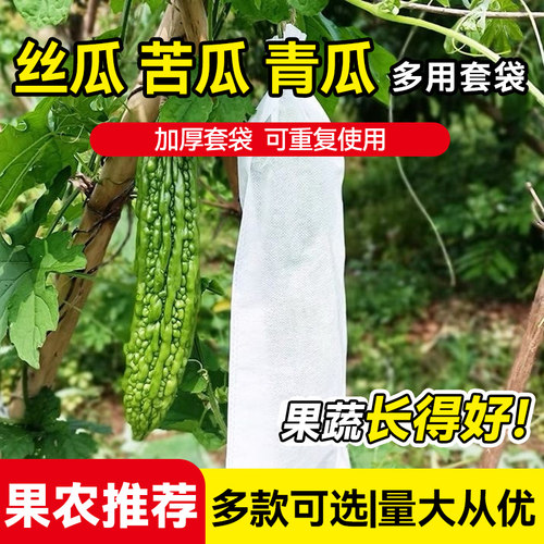 丝瓜苦瓜果蔬专用套袋纸袋无纺布