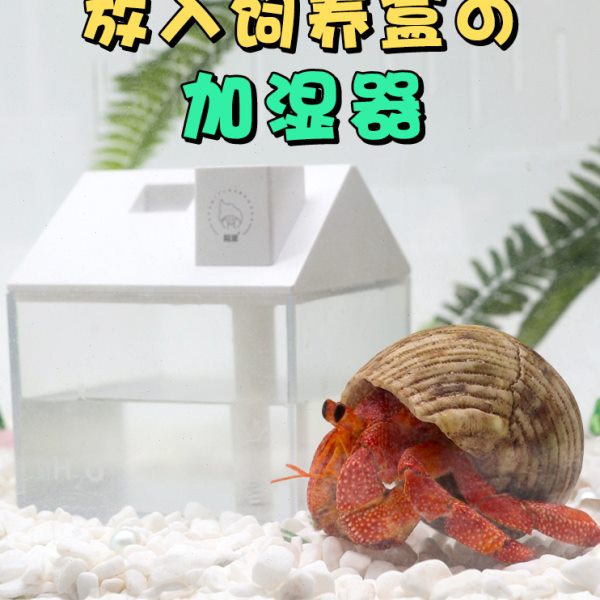寄居蟹加湿器爬宠加湿器雾化保湿营造雨林造景大喷雾小型静音调节