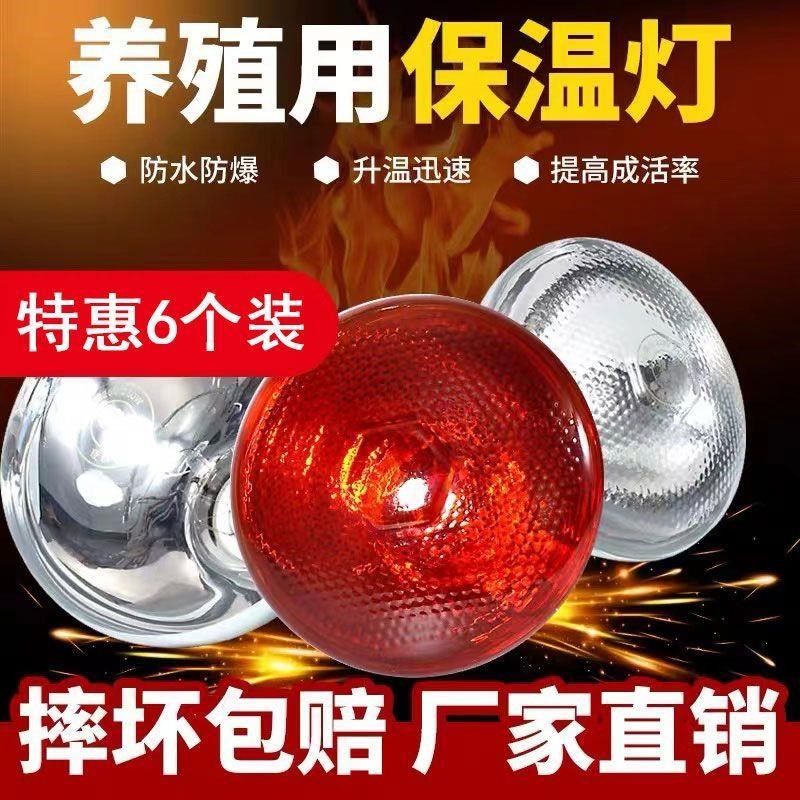 养殖取暖灯防水防爆小鸡鸭鹅育雏仔猪专用保温灯泡大棚加温加热灯