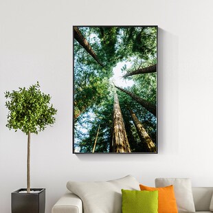 绿色森林大树木风景挂画客厅玄关主卧室餐厅饭馆酒吧办公室装饰画