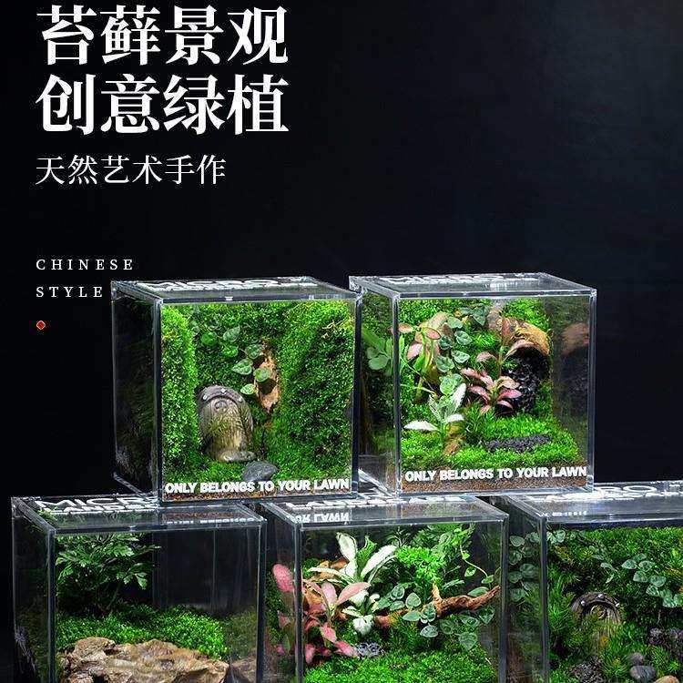 苔藓微景观生态雨林缸造景办公桌面植物盆景成品室内小盆栽,鲜花速递/花卉仿真/绿植园艺,割草机/草坪机,淘宝优惠券,粉丝福利购,淘宝优惠卷