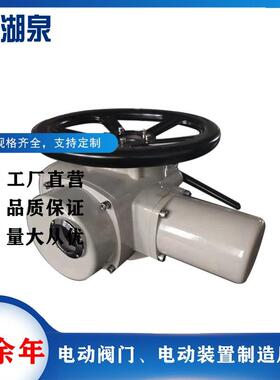 DZW15-24T推力型电动执行机构 闸门用带铜螺母推力盘电动驱动装置