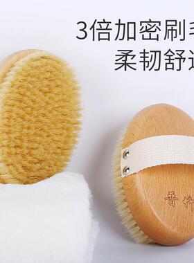 猪鬃软毛身体刷酸脂肪干刷皮肤刷腿沐浴刷子洗澡清洁搓澡按摩王金