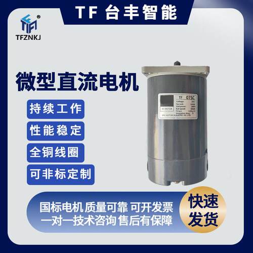 TF台丰微型直流速电机24V100W
