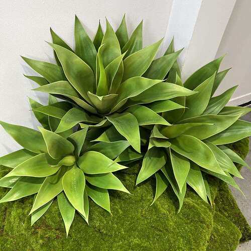 仿真沙漠植物剑麻剑兰盆栽龙舌兰盆景北欧室内装饰摆设盆景龙舌兰