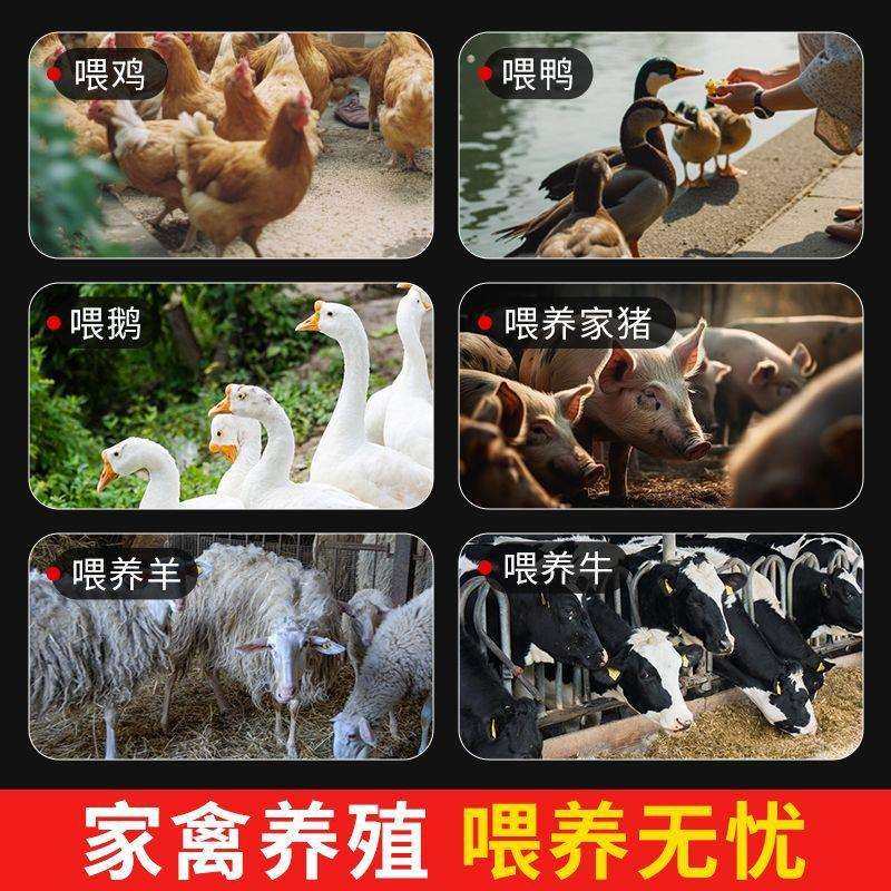 新款碎菜机切草机喂鸡鸭鹅家禽桶式多功能碎菜机家用不锈钢粉碎机,农机/农具/农膜,播种栽苗器/地膜机,淘宝优惠券,粉丝福利购,淘宝优惠卷