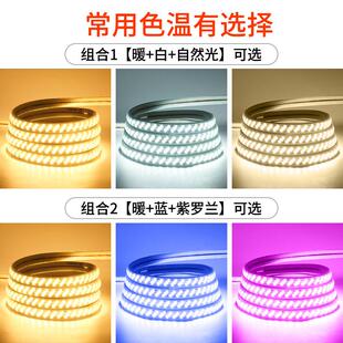 灯带led三色家用220V客厅吊顶防水室外变光氛围户外彩灯长条灯条